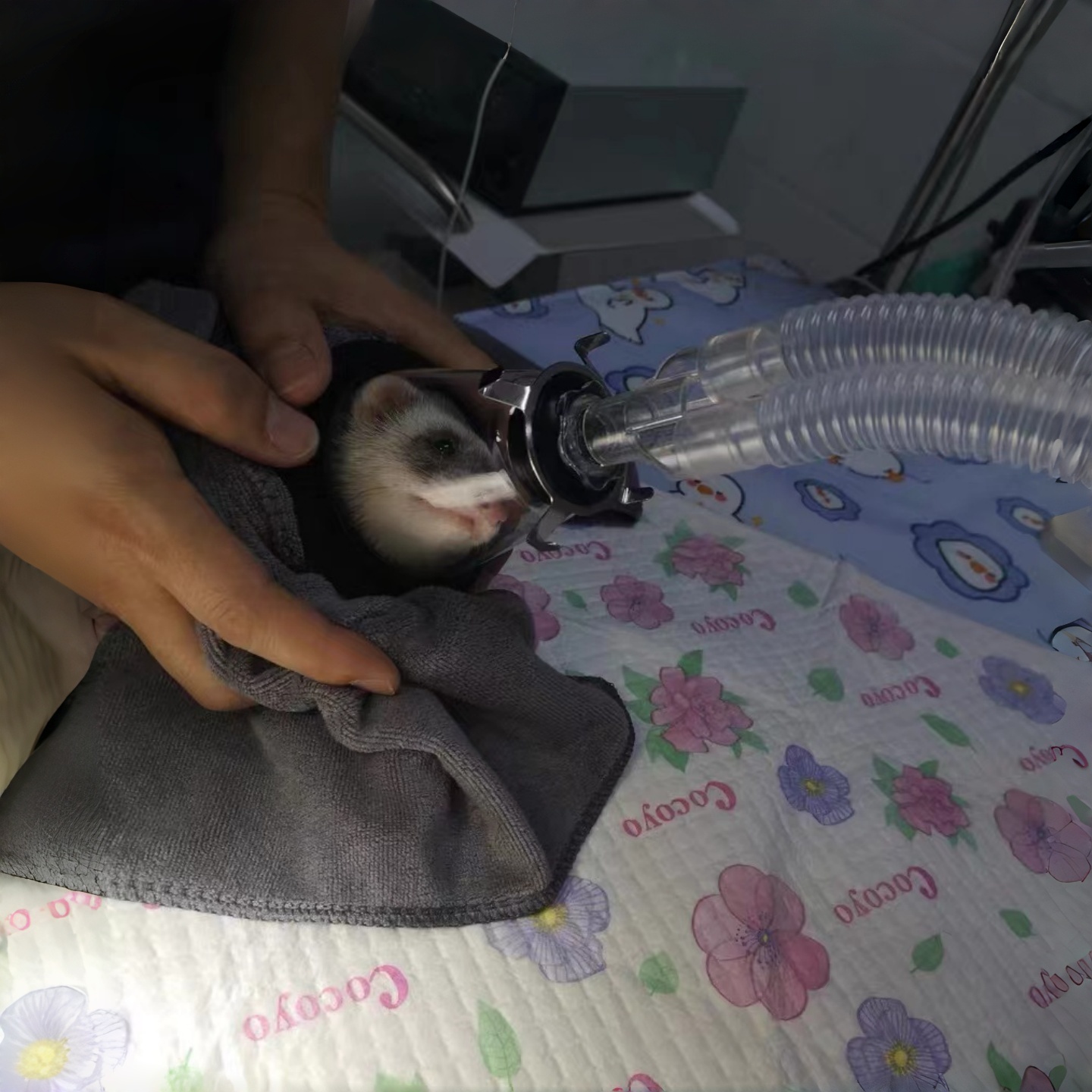 Enlarged animal surgical mask, - огляд і ціна Vet Tech Accessories